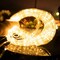 Solar Rope String Lights Outdoor 72Ft 200 Led Waterproof Solar Powered Fairy Lights with 8 Lighting Modes, Copper Wire PVC Tube Lights for Garden Wedding Christmas Party DIY Decor(Warm White, 1 Pack)
